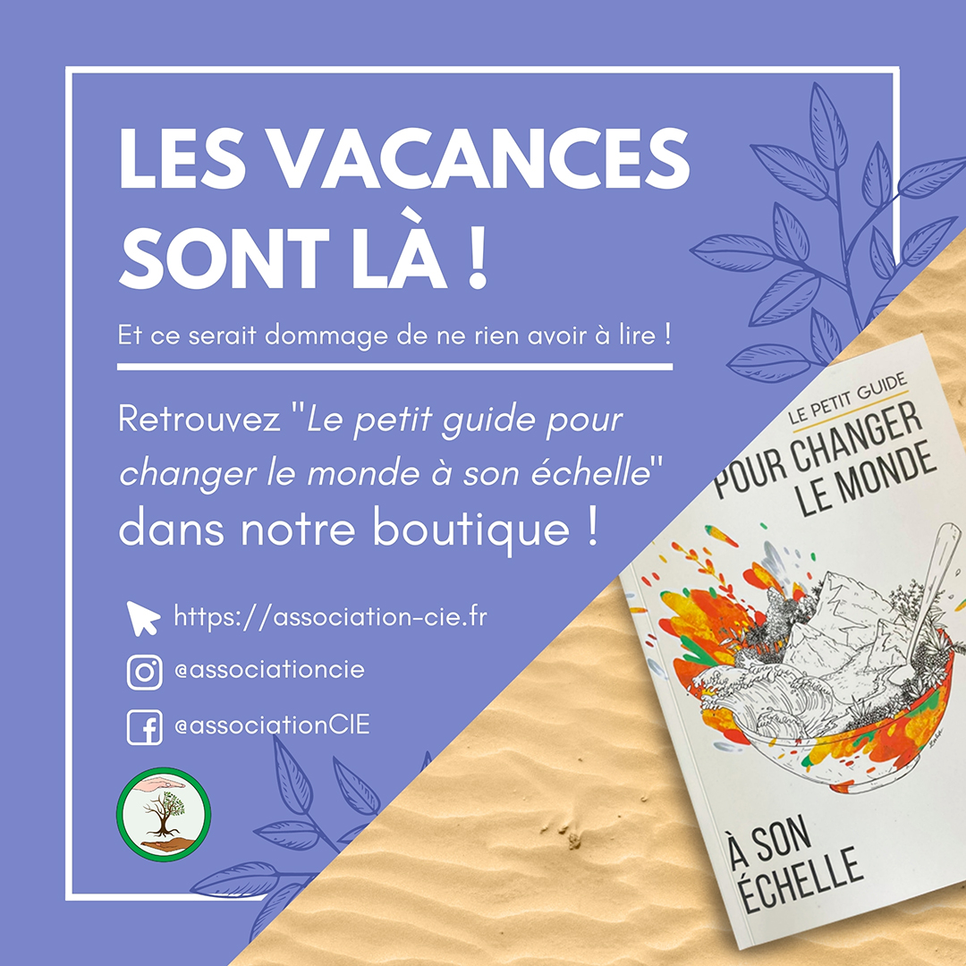 Visuel pour Instagram faisant la promotion du Petit guide pour changer le monde à son échelle, par l'association CIE.
